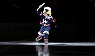 What is the average NHL mascot salary and wage